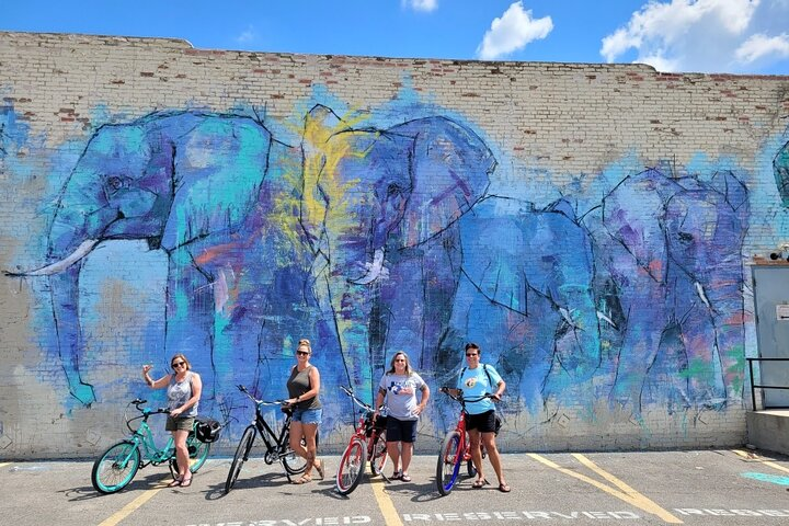 Dallas Electric Bike Rental - Photo 1 of 6